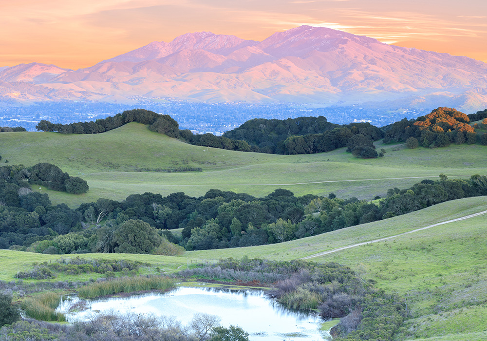 Rolling hills with mountain in background.