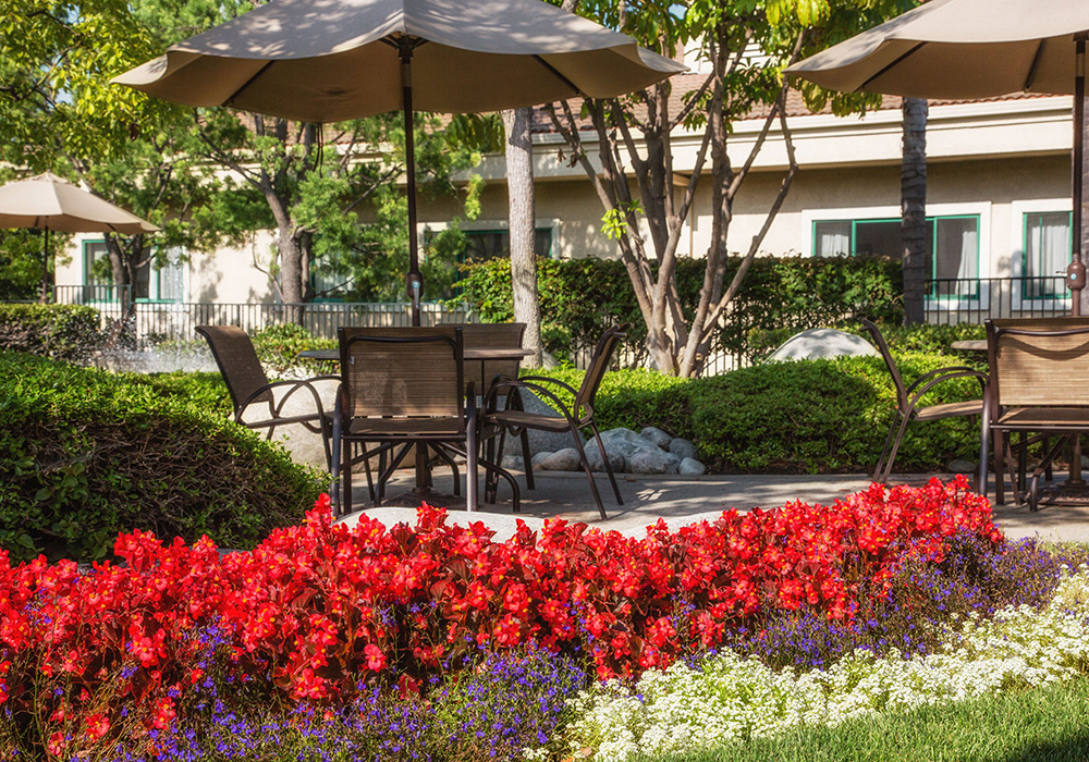 Courtyard with red flowers and shaded tables