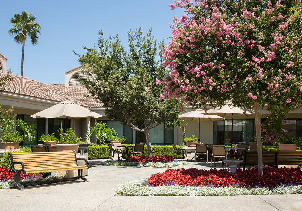 Parkvista 1000x700 33 Courtyard with flowers, pink trees, and benches