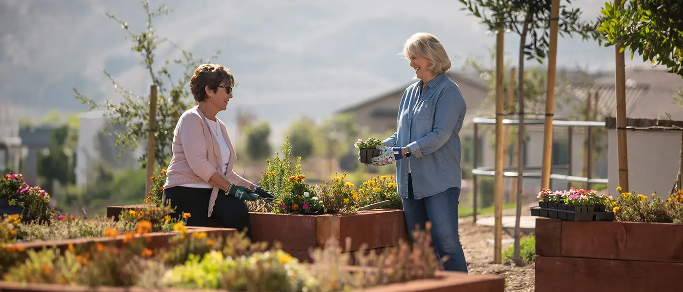 heatherfarm-1400x600-14 Two ladies gardening together